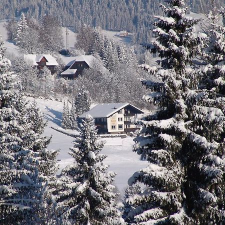 Cozy Apartment In Afritz Am See Near Gerlitzen Ski Area 外观 照片